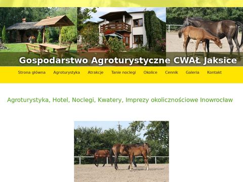 Agro-konie.pl - agroturystyka Cwał - hotel