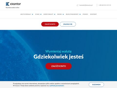 Internetowy ekantor.pl