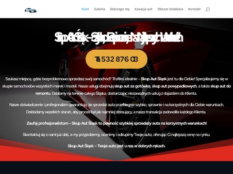 Skupaut24.slask.pl - wygoda i szybkość