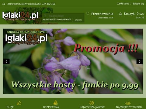 Iglaki24.pl - rośliny do ogrodu